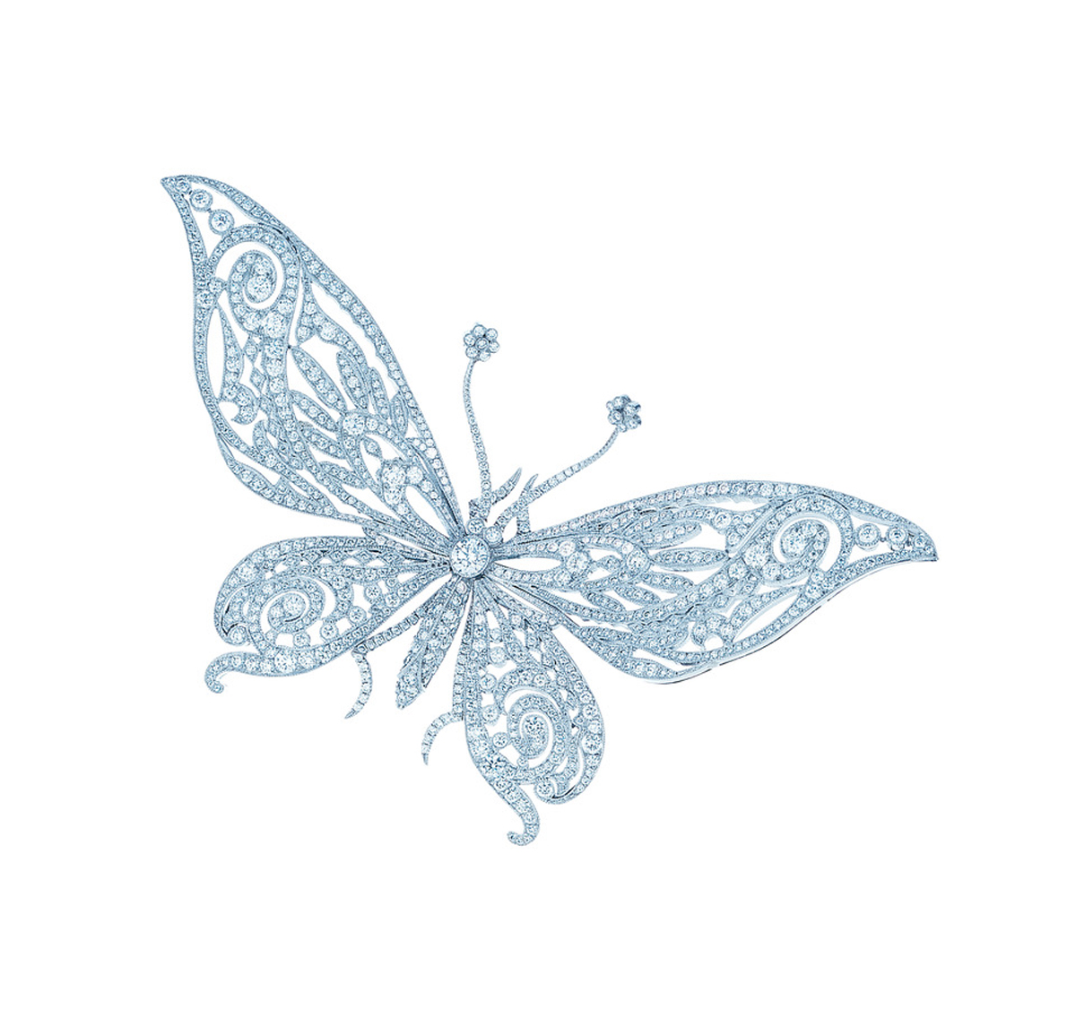 Diamond-Butterfly-Br_511