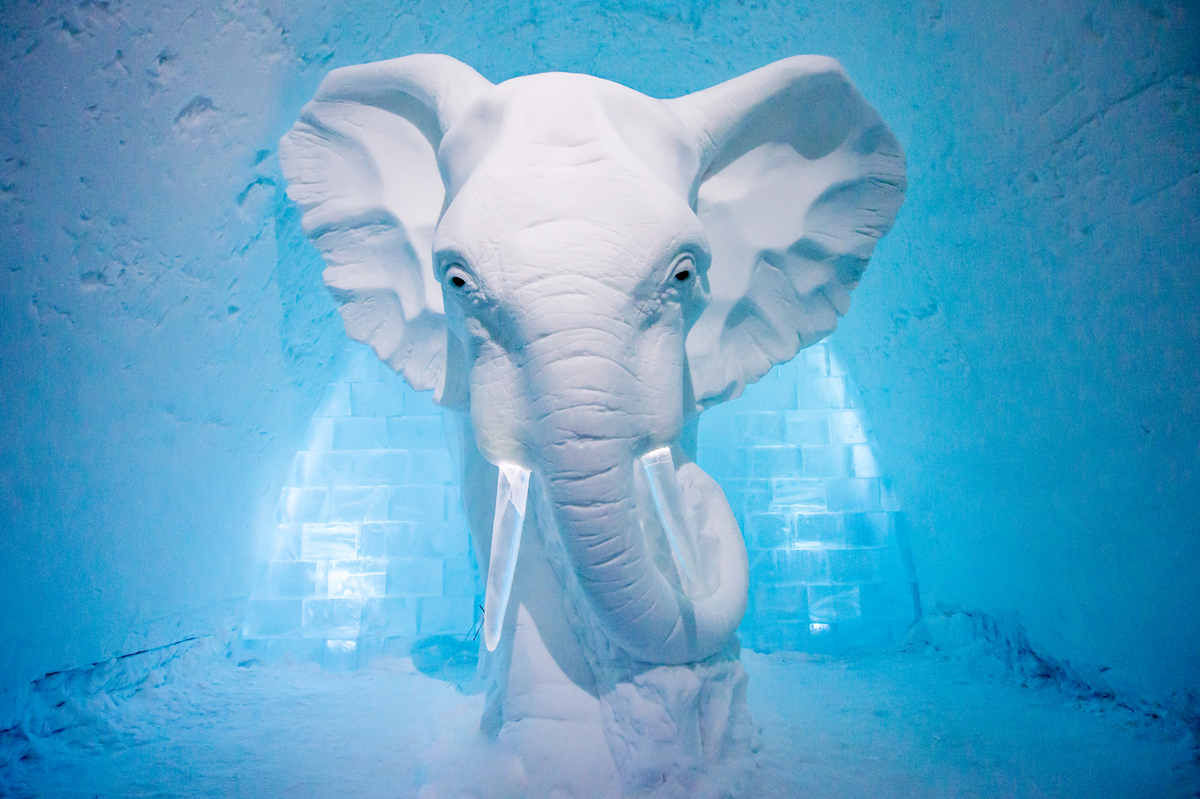 medium_art-suite-elephant-in-the-room-icehotel-sweden