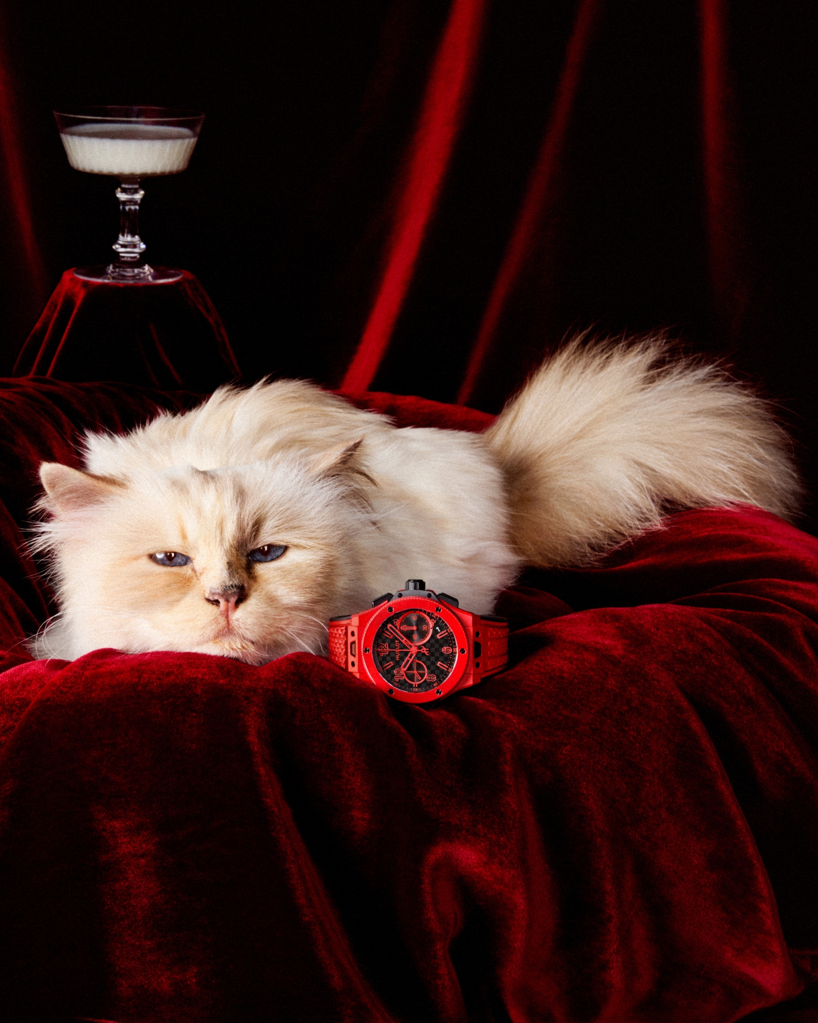 Kočka Choupette tváří Hublot
