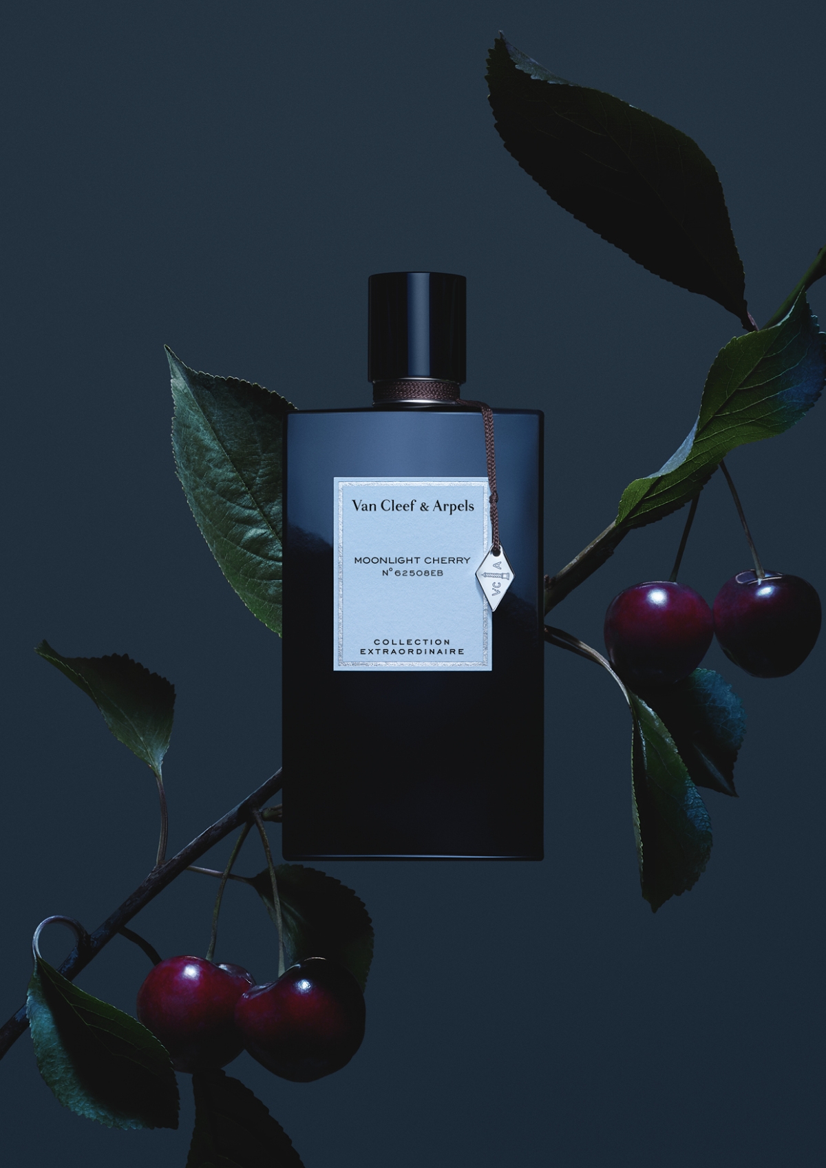 Van Cleef & Arpel inspirovaný zázraky přírody