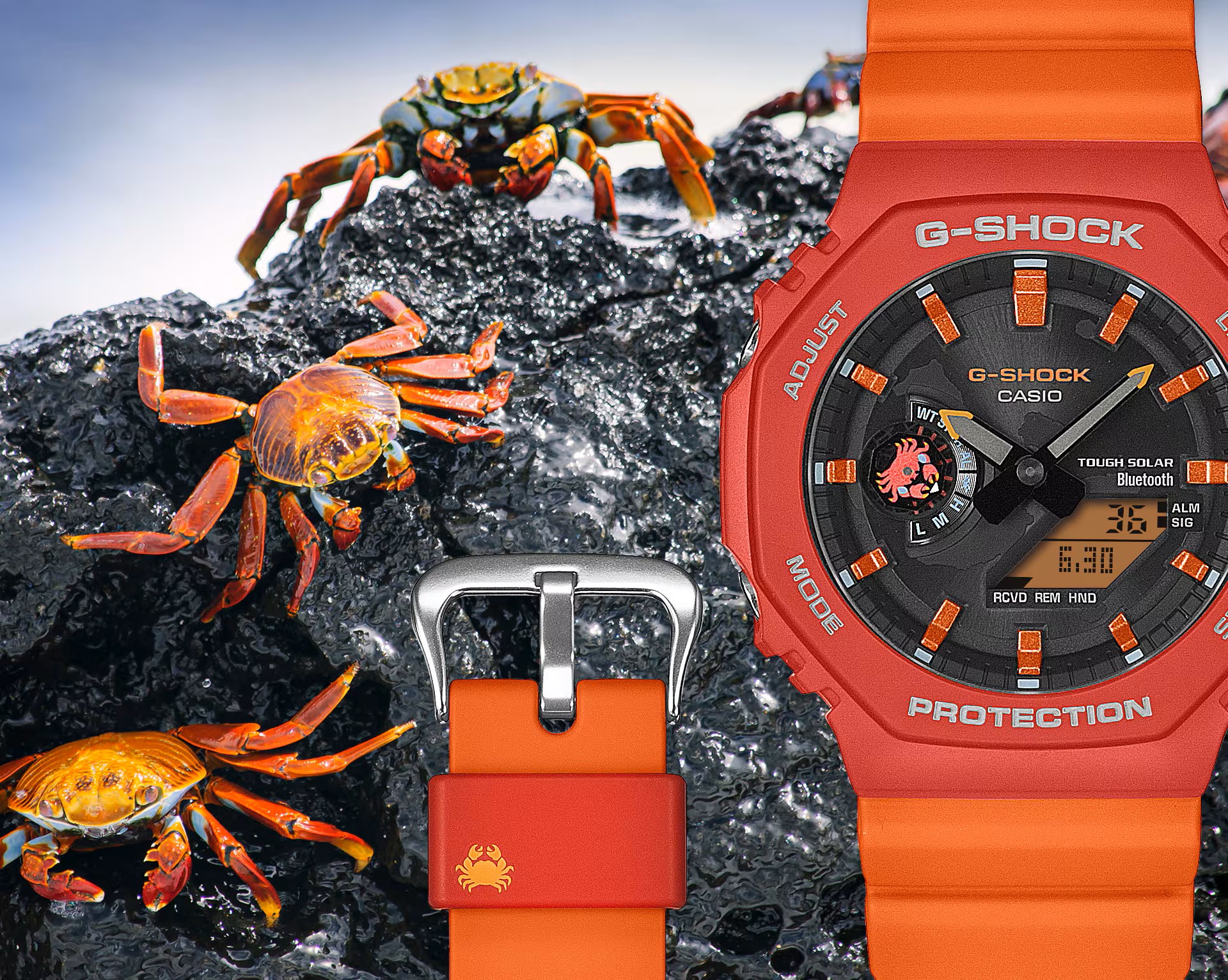 G-Shock x Charles Darwin Foundation: Když čas bojuje za Galapágy