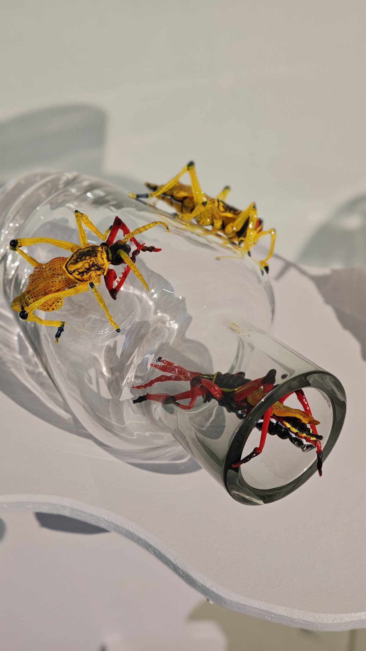 Přírodní motivy v neprobádaných podobách: František Jungvirt uvádí nové sběratelské edice