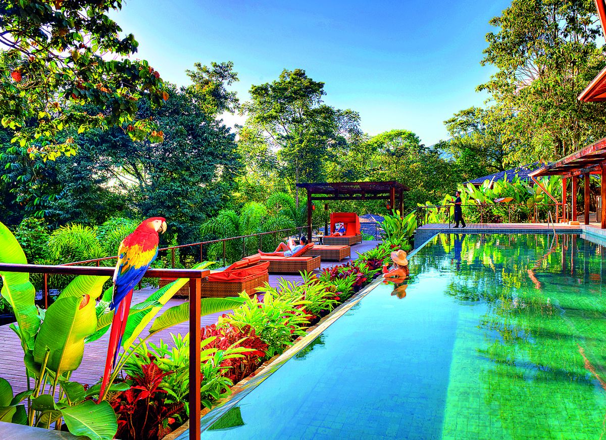 web_Nayara Springs Lap pool with Macaw